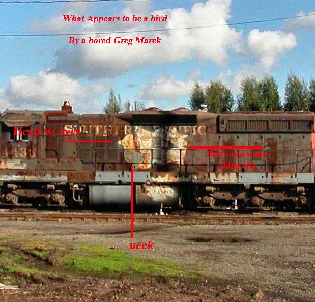 Sleeping beauty! old GP 9? – image 71