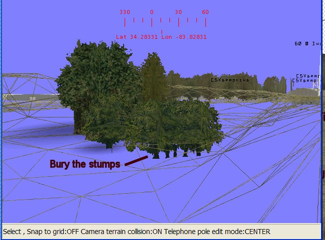 The Gainesville Diamond – image 12