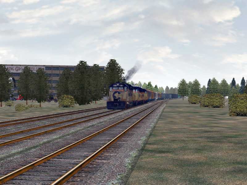 Buffalo screenies – image 49