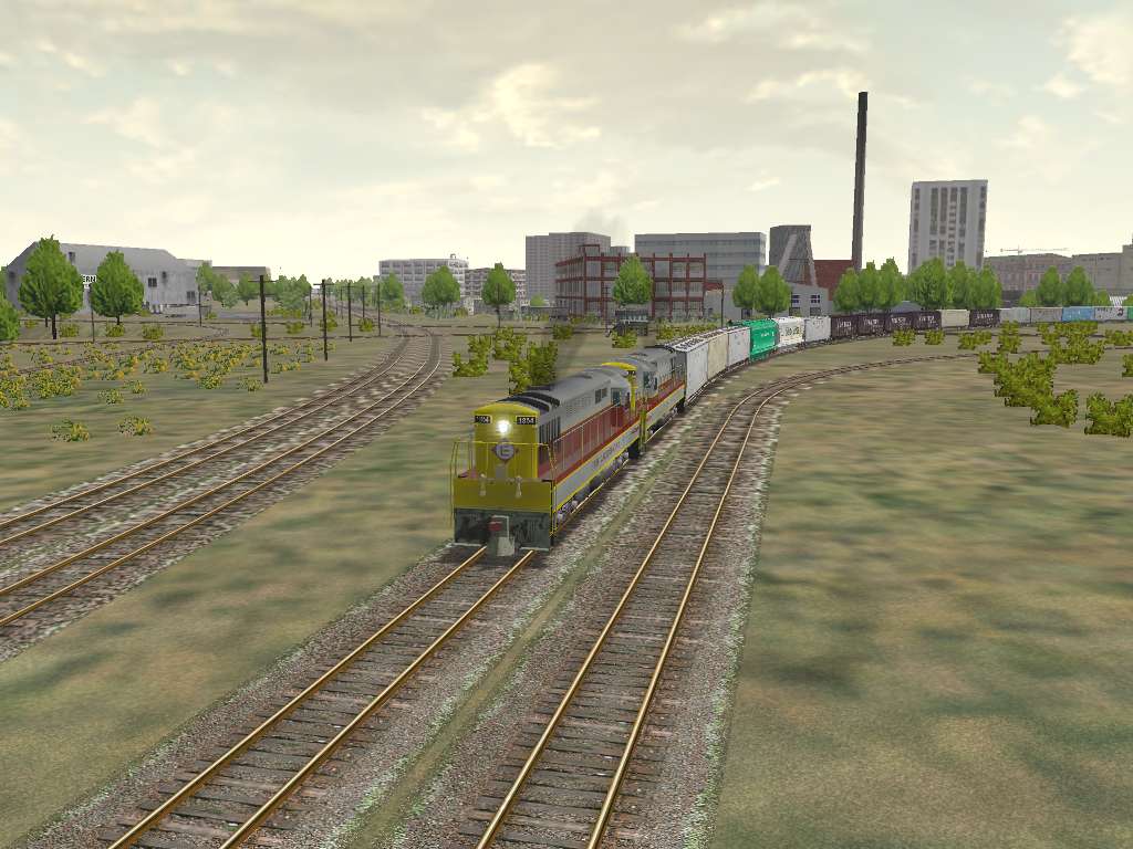 Buffalo screenies – image 27