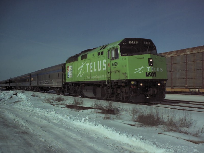 I spy with my little eye… Something Green ! – image 46
