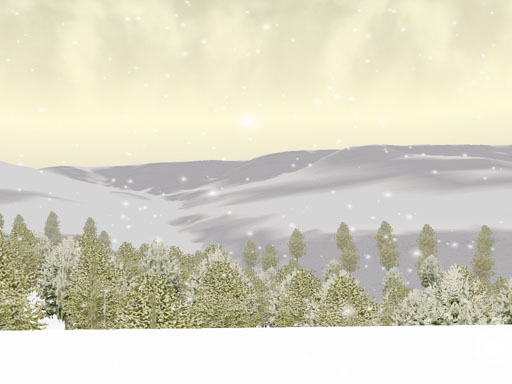 FRISCO - FS in the snow – image 3