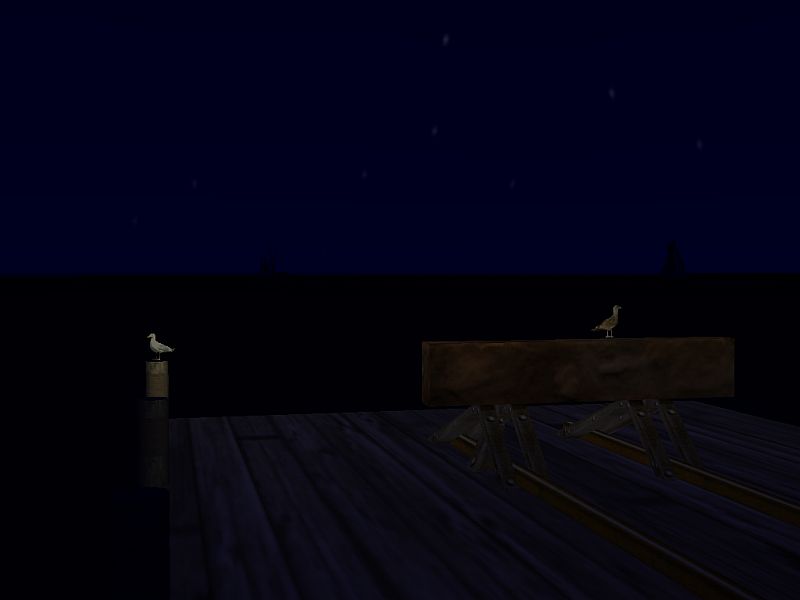 Night Shots – image 13