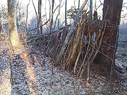 Callahan Cache – image 2