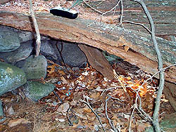 Cache #3 Box