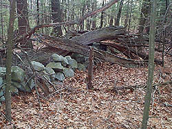 Cache #3