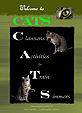 New Train Sim Files – Dec 15, 2008: 1–10 of 300 – image 2